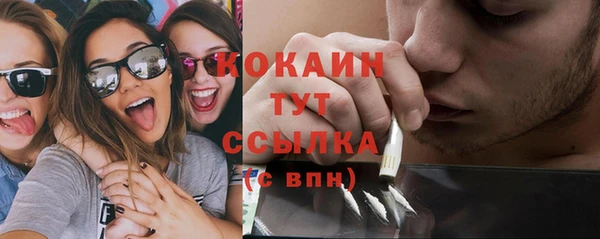дмт Белокуриха