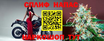 гидра Дубна