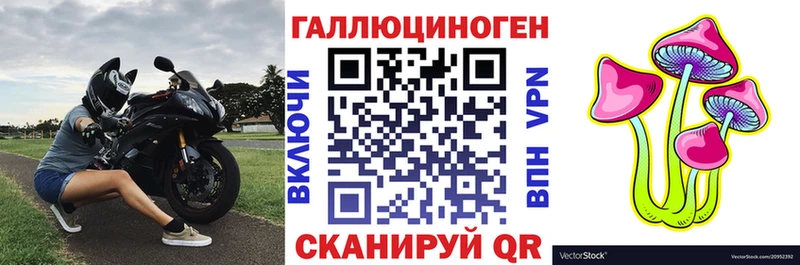даркнет сайт  Корсаков  Псилоцибиновые грибы Psilocybe 